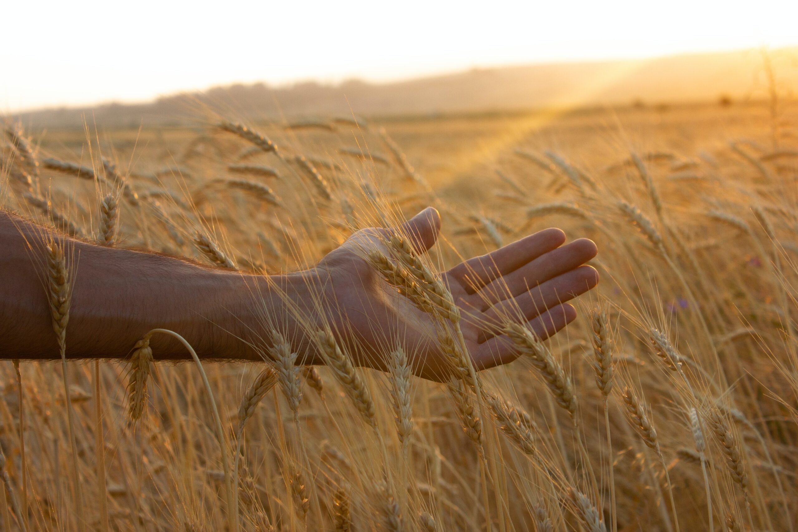 Where is God When We’re Walking Through a Difficult Desert?