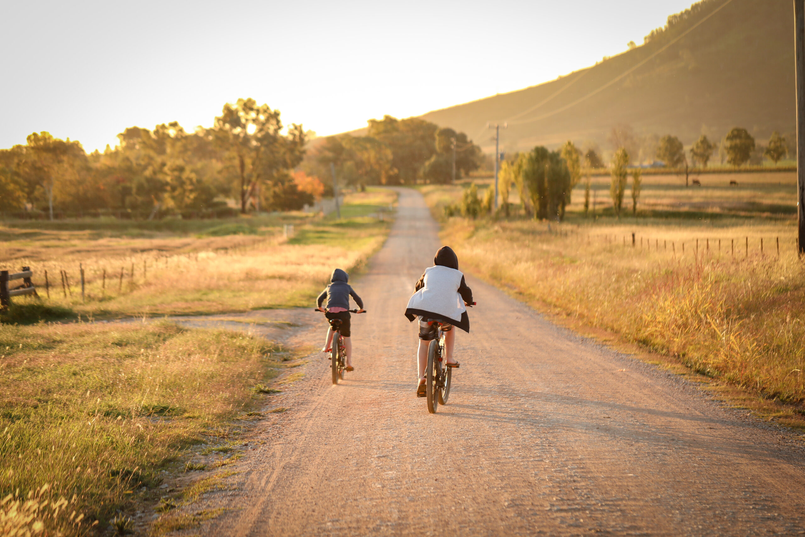Children riding bicycles on a country road